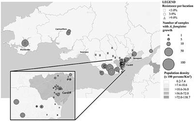 Determination of the Prevalence of Triazole Resistance in Environmental Aspergillus fumigatus Strains Isolated in South Wales, UK